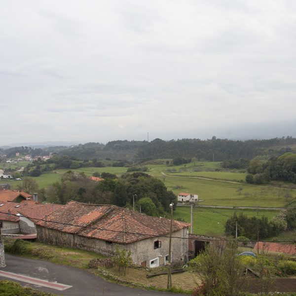 vegona003